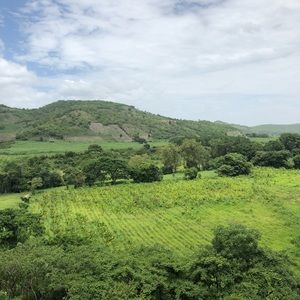 Meet your Posher, Jacob